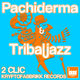2clic Pachiderma & Tribaljazz