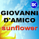 Giovanni D'Amico - Sunflower