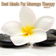 Various Artists Best Music for Massage Therapy Vol.2 Various Artists Best Music for Massage Therapy Vol.2