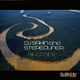 Dj Sakin & Stereoliner Riverside