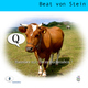 Beat Von Stein Q - Haustier mit einem Buchstaben?