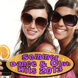 Sommer Dance & Club Hits 2013 by Various Artists mp3 download