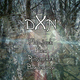 Dxn Flapjack