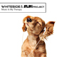 WHITESIDE & SLIN PROJECT Music Is My therapy