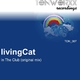 Living Cat In The Club