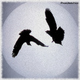 Phon/Antiphon Ravens