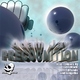 Adam Jay Precognition