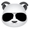 Crooked Panda