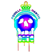 Squilla Mantis Band