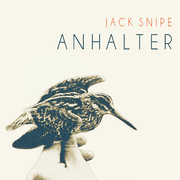Jack Snipe