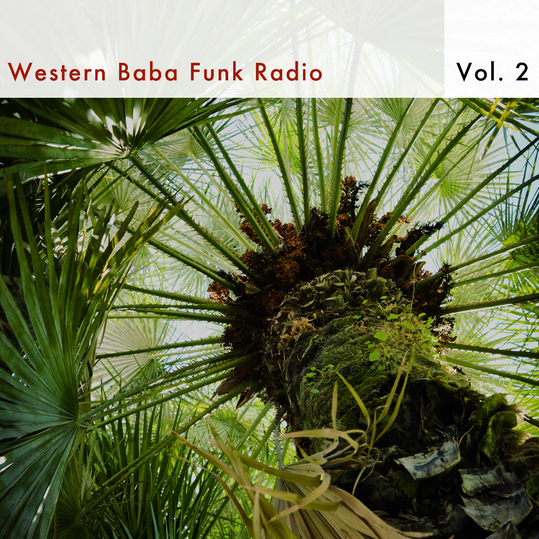 Various Artists - Western Baba Funk Radio, Vol. 2