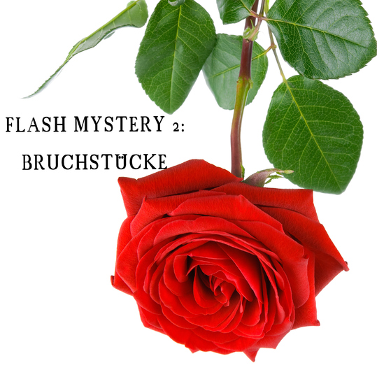 Christina Schwarz - Flash Mystery 2: Bruchstücke