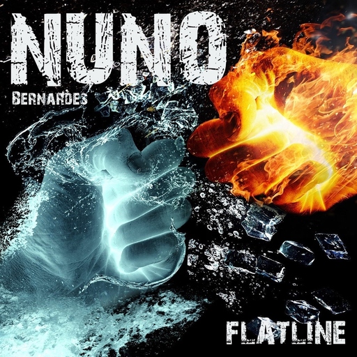 Nuno Bernardes Vilabril - Flatline