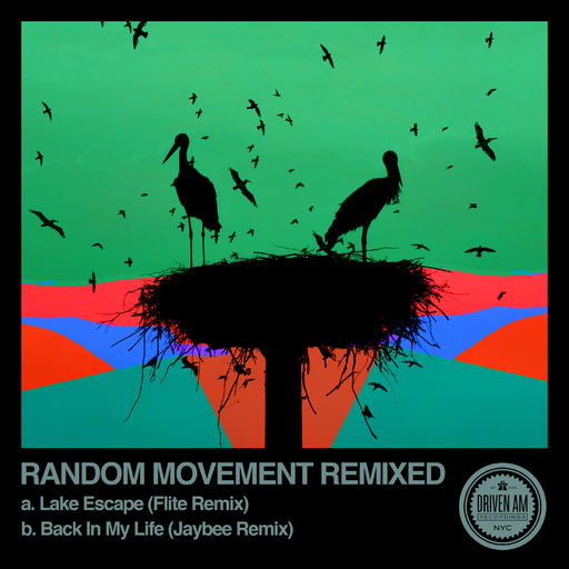 Random Movement - Random Movement Remixed