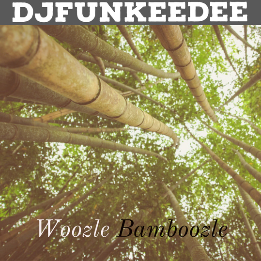 Djfunkeedee - Woozle Bamboozle