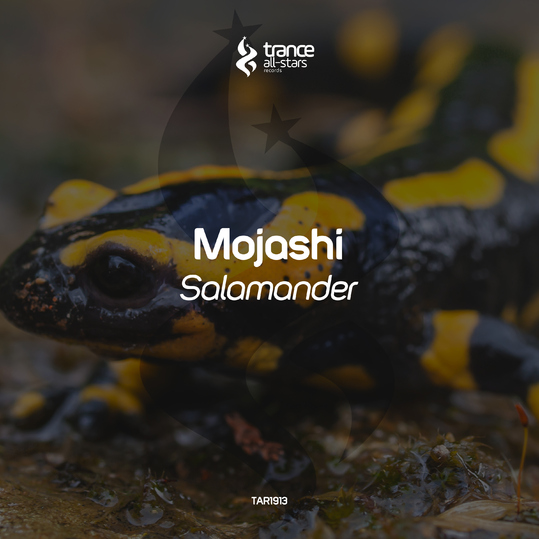 Mojashi - Salamander