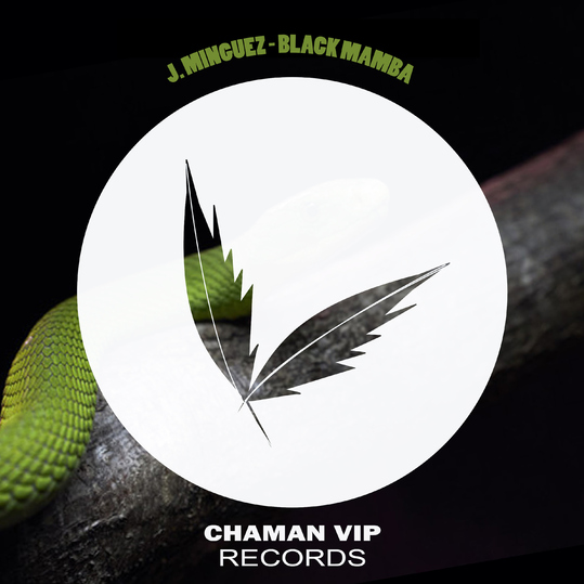 J. Minguez - Black Mamba