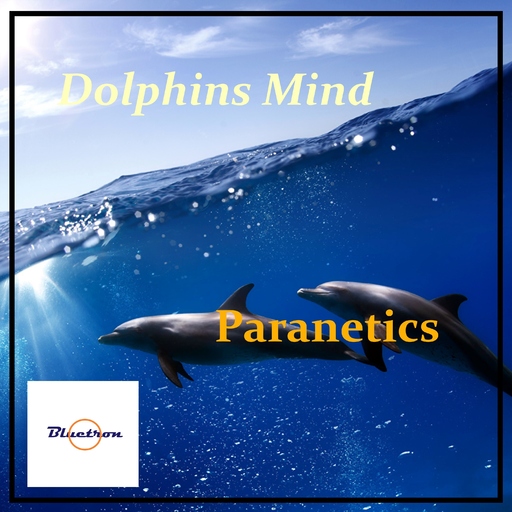 Paranetics - Dolphins Mind