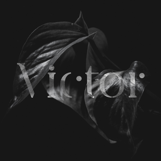 Victor Band - Victor