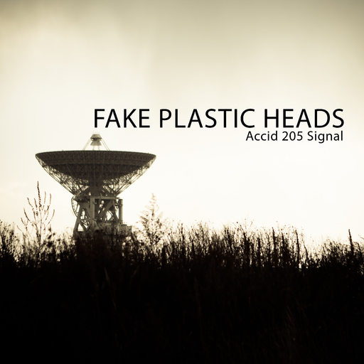 Fake Plastic Heads - Accid 205 Signal