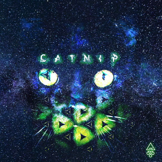 Asteroid 385 - Catnip