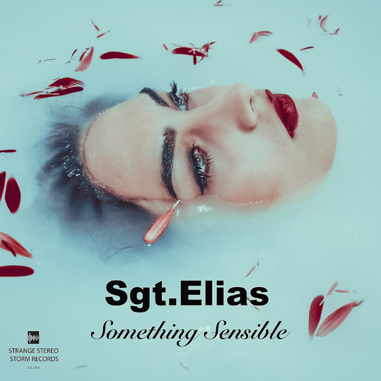 Sgt.Elias - Something Sensible