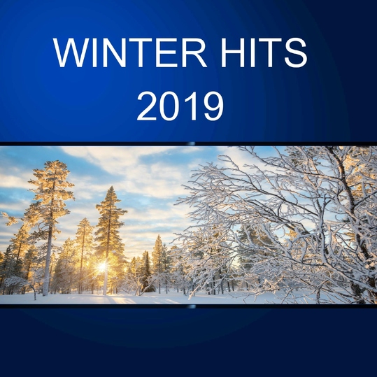 Various Artists - Winter Hits 2019