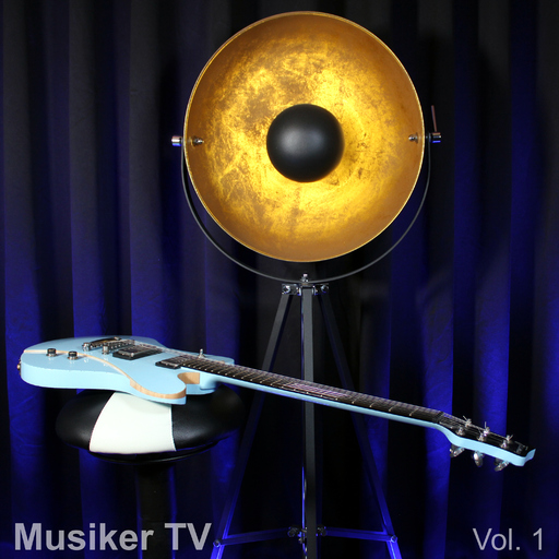 Mario Seifarth - Musiker TV, Vol. 1