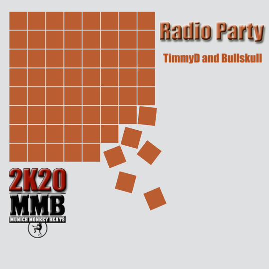 Timmy D & DJ Bullskull - Radio Party