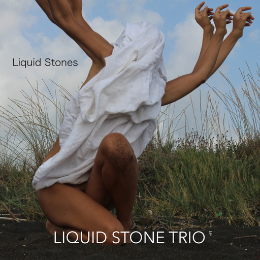 LIQUID STONE TRIO - Liquid Stones