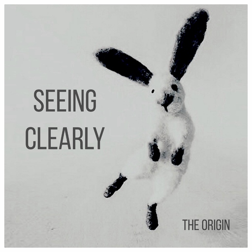 Crystin - Seeing Clearly