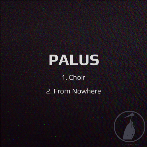 Palus - Choir/From Nowhere