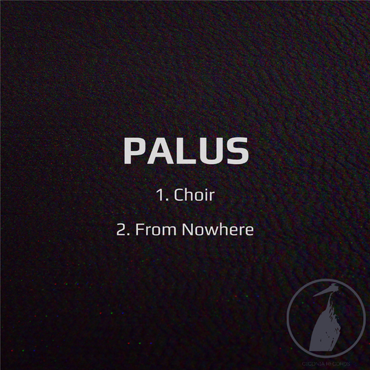 Palus - Choir/From Nowhere