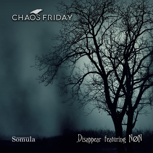 Chaos Friday feat. NØN - Disappear