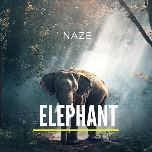 Naze - Elephant