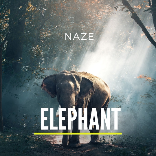 Naze - Elephant