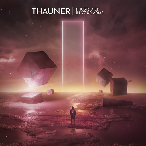 Thauner - (I Just) Died in Your Arms