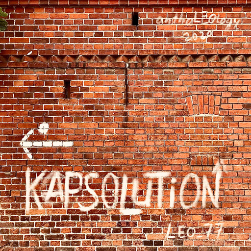 LEO_77 - Kapsolution