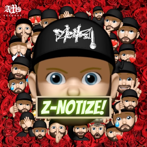 Zleyr - Z-Notize