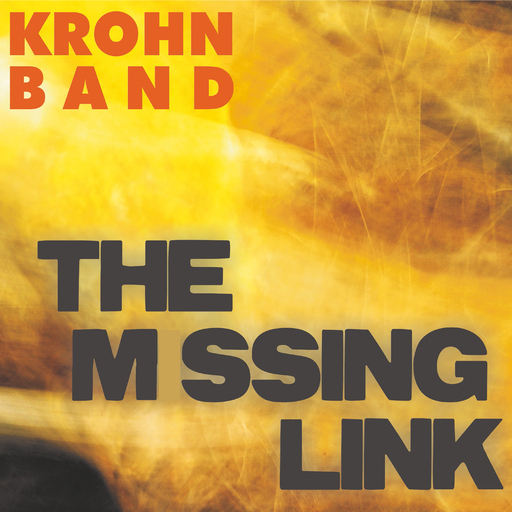 Krohn Band - The Missing Link