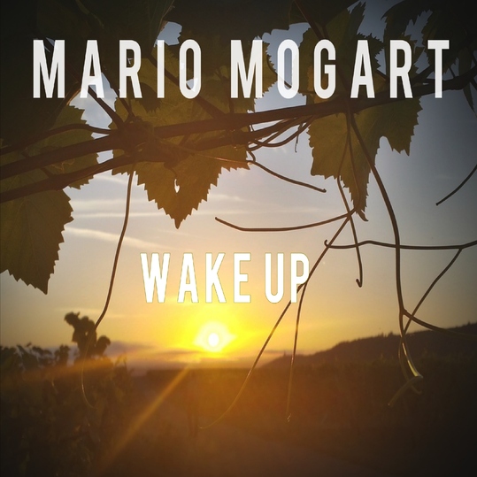 Mario Mogart - Wake Up