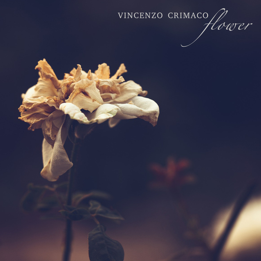 Vincenzo Crimaco - Flower