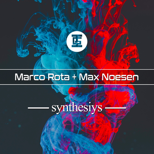 Max Noesen & Marco Rota - Synthesiys