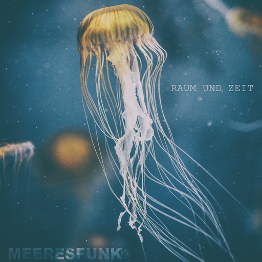 Meeresfunk - Raum und Zeit