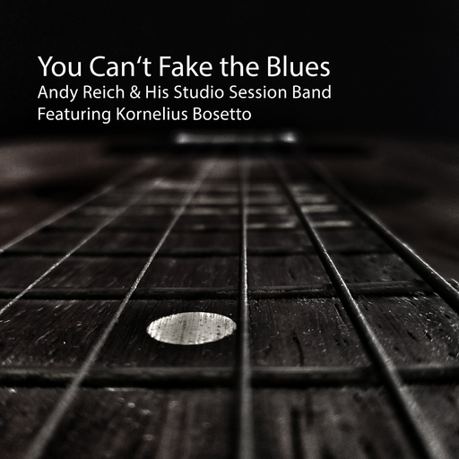 Andy Reich - You Can't Fake the Blues