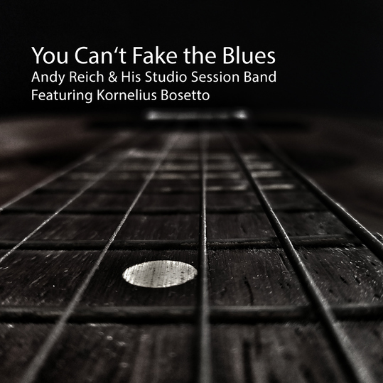 Andy Reich - You Can't Fake the Blues