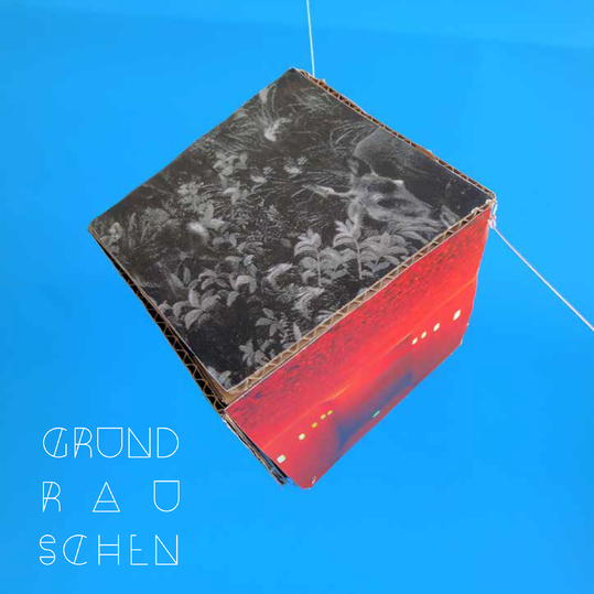 Grundrauschen - Dang Rocker 2.0 / Farbfernseher