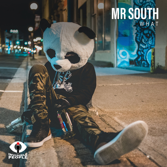 Mr South - What