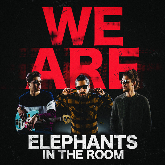 Elephants in the Room - We Are