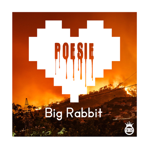 Big Rabbit - Poesie